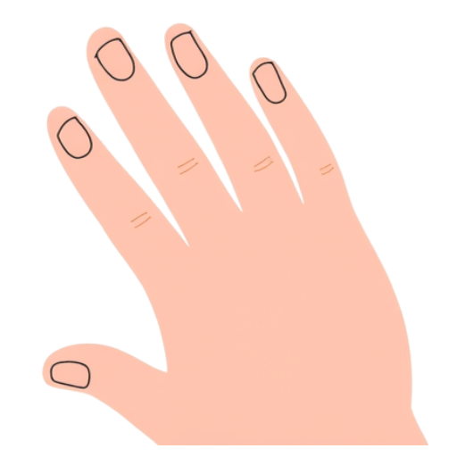 Auscultation des ongles